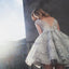 A Line V neck Lace Sleeveless Tulle Short Ball Gowns Light Grey Short Homecoming Dress IN204