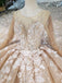 Princess Long Sleeves Ball Gown Wedding Dresses, Floral Appliques Wedding Gown INJ95