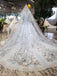 Stunning Light Blue Ball Gown Wedding Dresses, Quinceanera Dresses INJ98