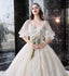 Charming Half Sleeves Ball Gown Wedding Dresses, Appliques V Neck Bridal Dress INK2