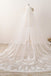 3M Long Embroidered Lace Cathedral Veil for Wedding WV11