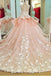 Tulle Lace Scoop Neckline Ball Gown Wedding Dress With Lace Appliques,Quinceanera Dresses IN619