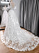 Vintage A Line V Neck Lace Wedding Dress With Flutter Sleeves IN1901