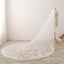 3M Long Embroidered Lace Cathedral Veil for Wedding WV11