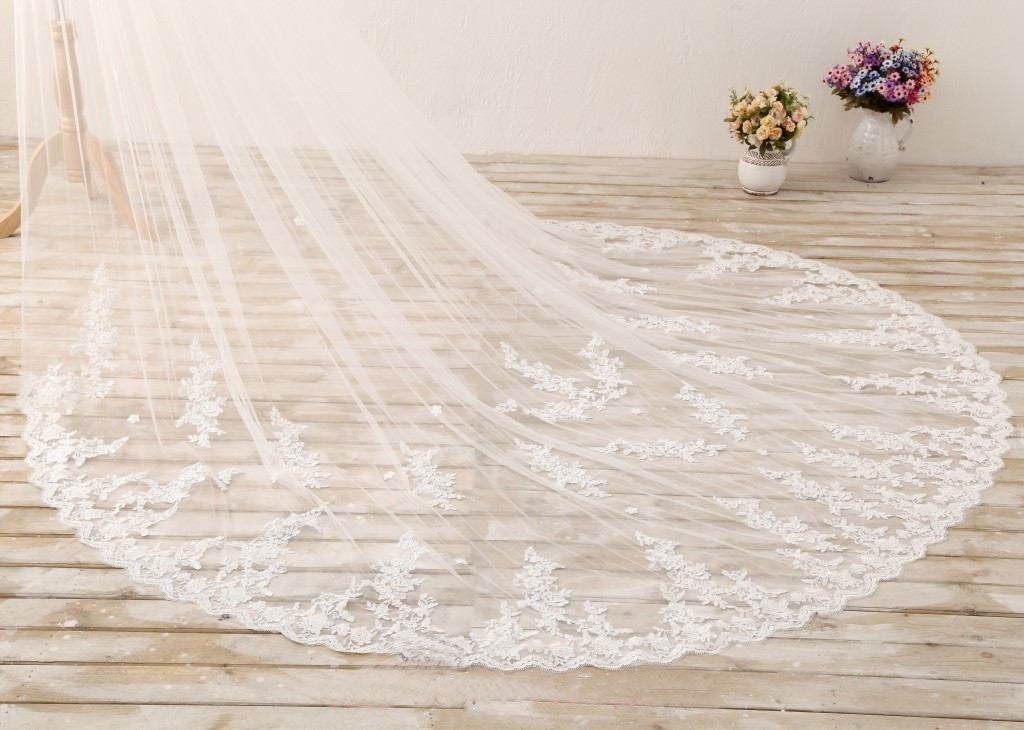 3M Long Embroidered Lace Cathedral Veil for Wedding WV11