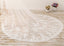 3M Long Embroidered Lace Cathedral Veil for Wedding WV11