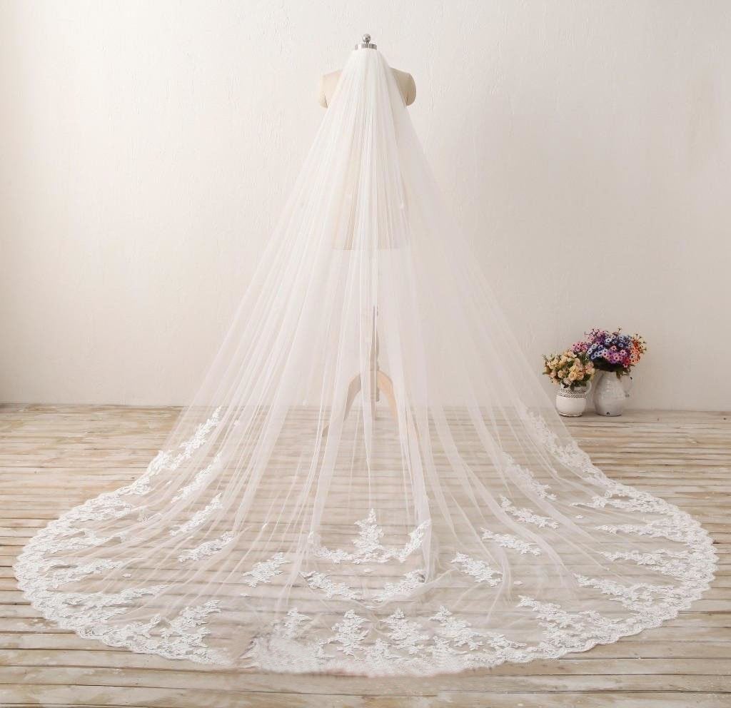 3M Long Embroidered Lace Cathedral Veil for Wedding WV11